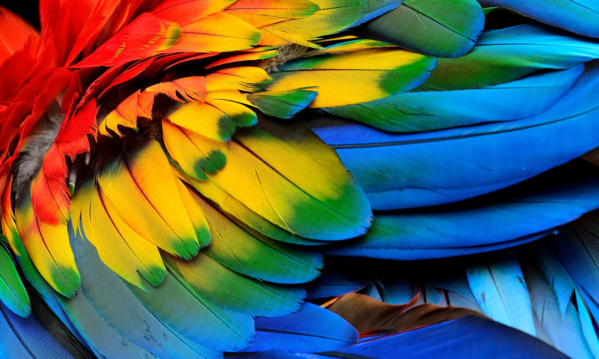 The Perfect Brand Colour